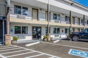 Hotels in Montesano